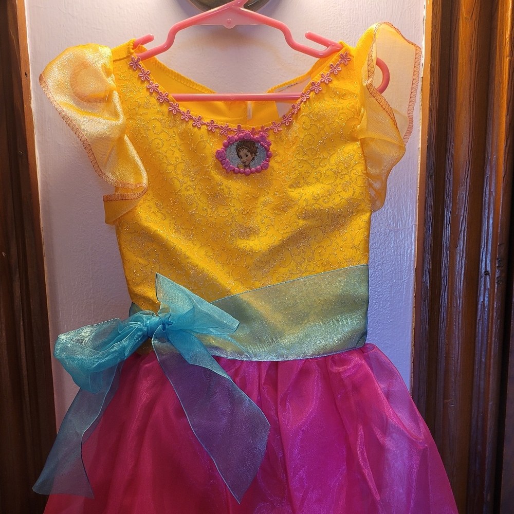 Fancy Nancy Kids Used Costume 4-6X
